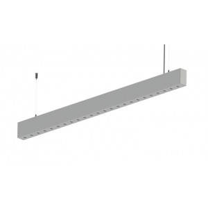 Duobus PRO 80 INDI 50